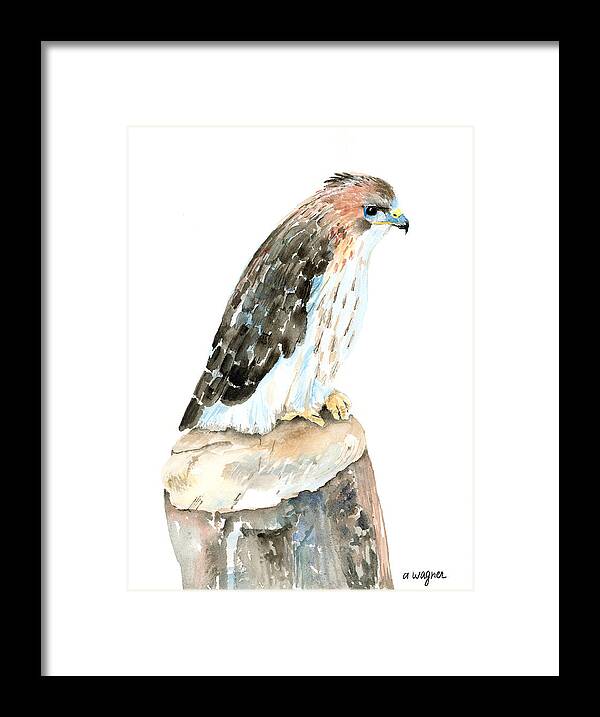 Falcon Framed Print featuring the painting Falcon by Arline Wagner