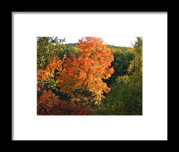 Landscape Framed Print featuring the photograph Fall 2016 6 by George Ramos