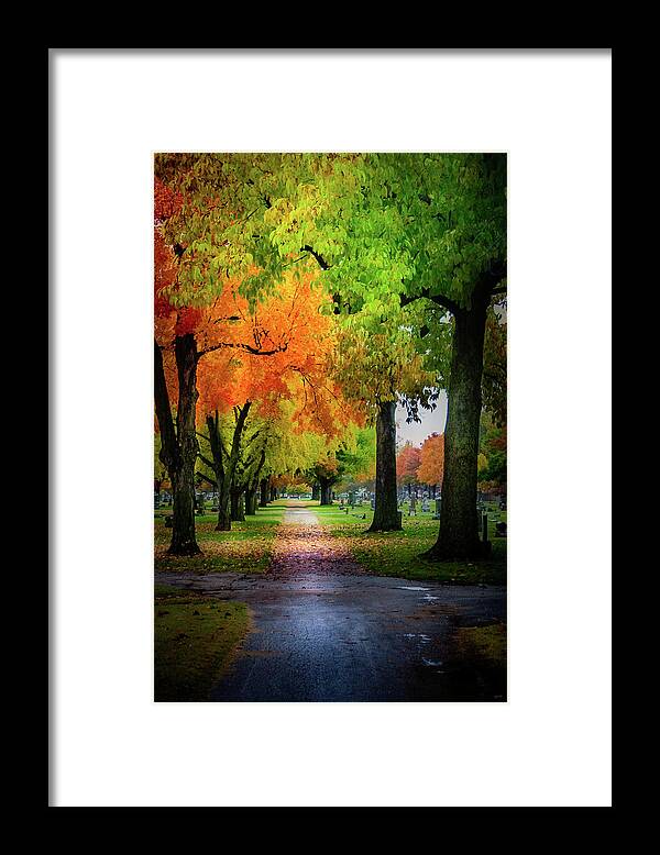 Fall Framed Print featuring the photograph Fall Color by Allin Sorenson