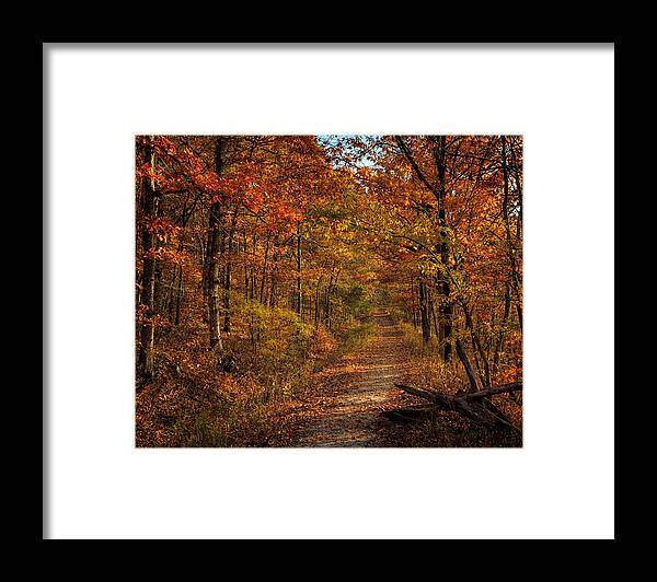 Fall Color Framed Print featuring the photograph Fall Color at Centerpoint Trailhead by Michael Dougherty