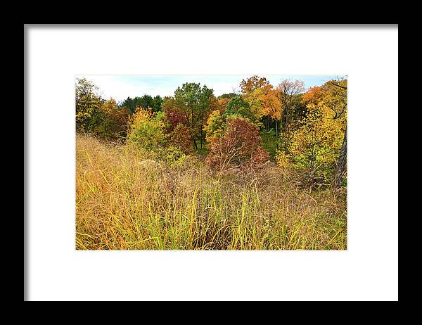 Mchenry County Framed Print featuring the photograph Fall Color Comes to Bull Valley by Ray Mathis