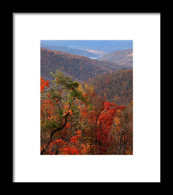 Ponca Framed Print featuring the photograph Fall Color Ponca Arkansas by Michael Dougherty