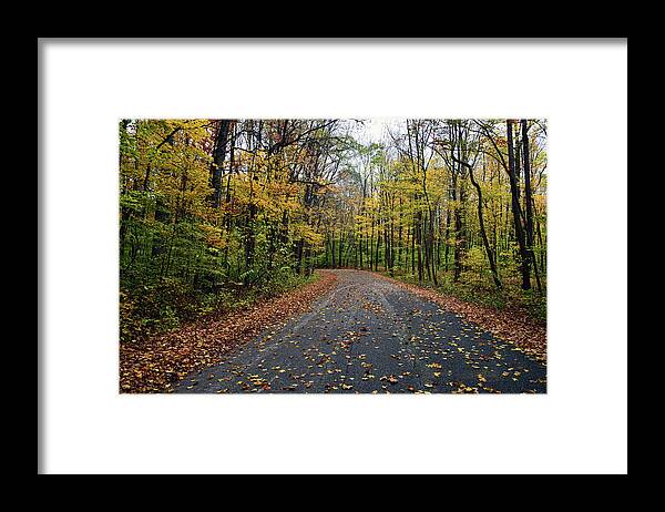 Took This At Turkey Run State Park In Indiana Oct 2016. Nothing Like Fall! Framed Print featuring the photograph Fall Color Series 2016 by Joanne Coyle
