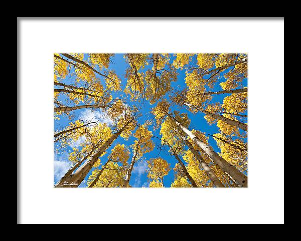 Arizona Framed Print featuring the photograph Fall Colored Aspens in the Inner Basin by Jeff Goulden
