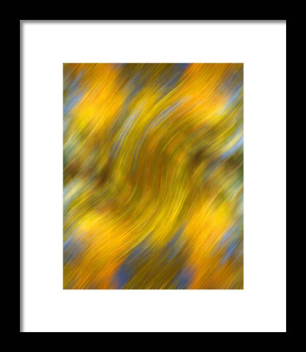 Leaves Framed Print featuring the photograph Fall Colors Abstract by Bob Coates