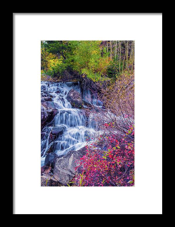 High Sierras Framed Print featuring the photograph Fall Colors Along Tioga Creek by Lynn Bauer