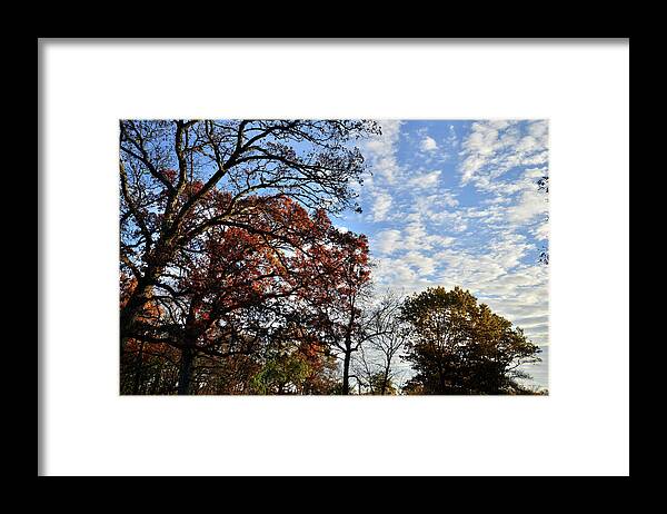 Chain-o-lakes State Park Framed Print featuring the photograph Fall Colors at Entrance to Chain-o-Lakes SP by Ray Mathis