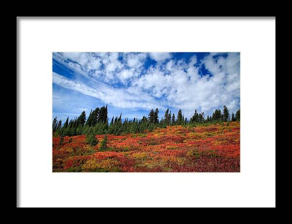 Fall Colors At Mount Rainier Framed Print featuring the photograph Fall colors at Mount Rainier by Lynn Hopwood