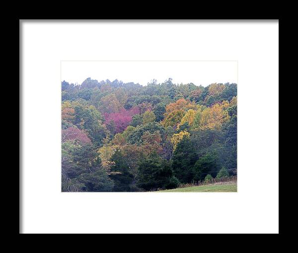 Fall Framed Print featuring the photograph Fall Colors in Rockbridge County by Eddie Armstrong