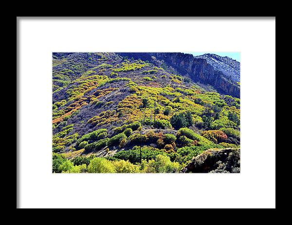 Colorado Framed Print featuring the photograph Fall Colors in the Hills of Glenwood Springs by Ray Mathis