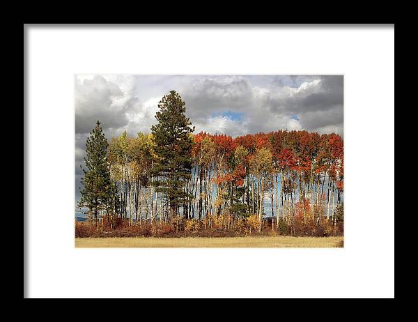 Fall Framed Print featuring the photograph Fall Colors by Dr Janine Williams