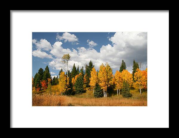 Autumn Framed Print featuring the photograph Fall Colors by Mark Smith