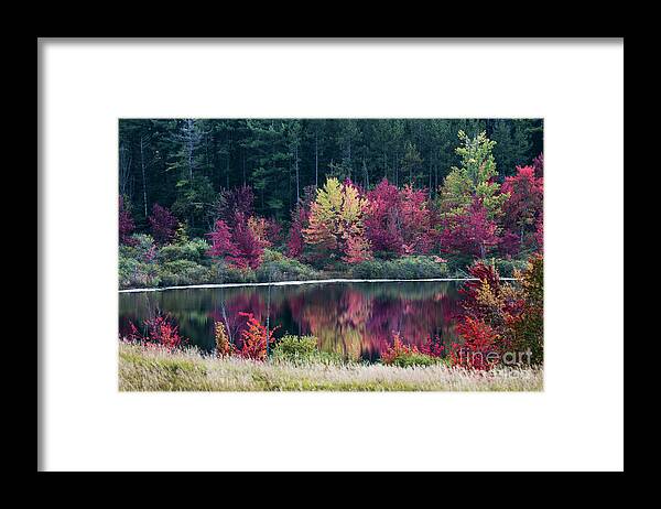 Thompson Lake Framed Print featuring the photograph Fall Colors - Thompson Lake 7581 by Steve Somerville