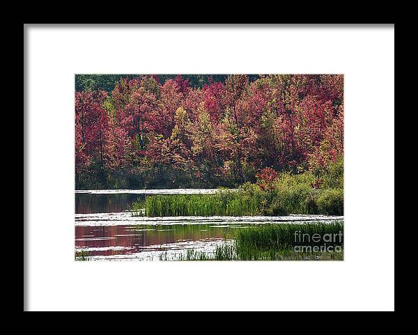 Thompson Lake Framed Print featuring the photograph Fall Colours - Thompson Lake 7619 by Steve Somerville