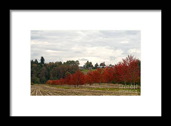 Fall Country Framed Print featuring the photograph Fall Country by Victoria Harrington