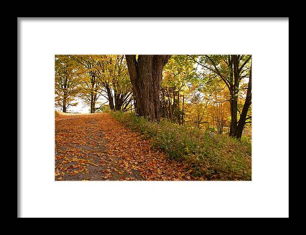 Fall Framed Print featuring the photograph Fall Driveway by Lois Lepisto