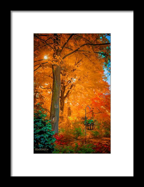Leaves In Fall Framed Print featuring the photograph Fall Explosion by LeeAnn McLaneGoetz McLaneGoetzStudioLLCcom