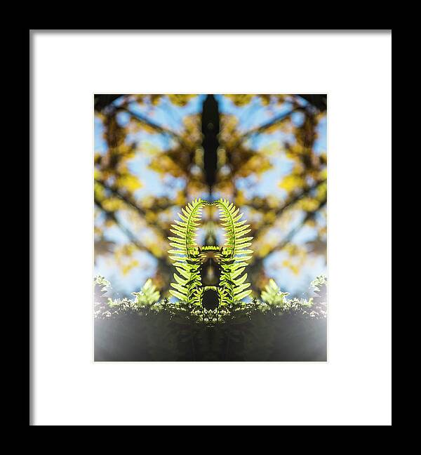 Fern Framed Print featuring the digital art Fall Ferns Reflection by Pelo Blanco Photo