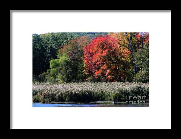 Autumn Framed Print featuring the photograph Fall Foliage Marsh by Smilin Eyes Treasures
