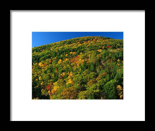 Landscape Framed Print featuring the photograph Fall Foliage Photography by Juergen Roth