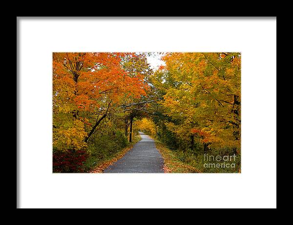 Fall Framed Print featuring the photograph Fall in Connecticut by JCV Freelance Photography LLC