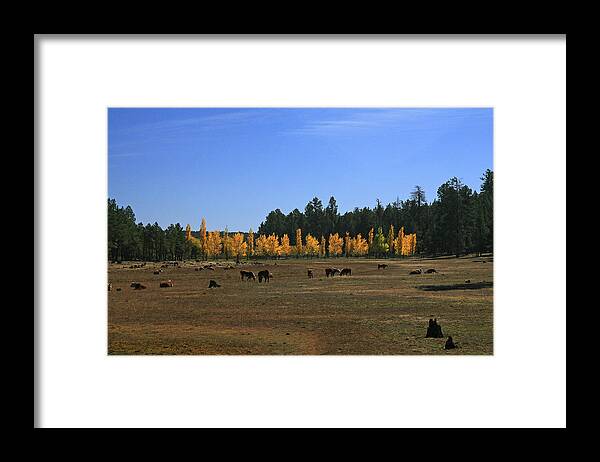 Landscape Framed Print featuring the photograph Fall in Line by Randy Oberg