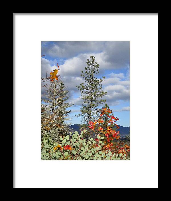 Fall Framed Print featuring the photograph Fall in Southern Oregon by Marie Neder