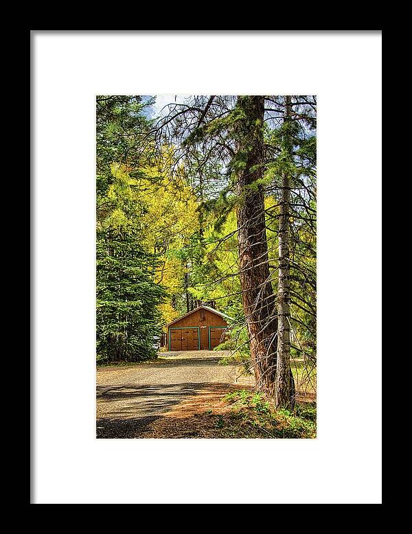 Fall Framed Print featuring the photograph Fall in the forest by Gaelyn Olmsted