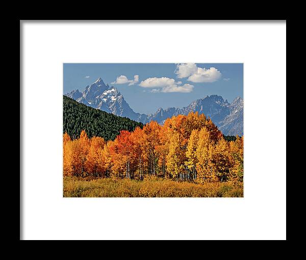 Fall Framed Print featuring the photograph Fall in the Tetons by Wesley Aston