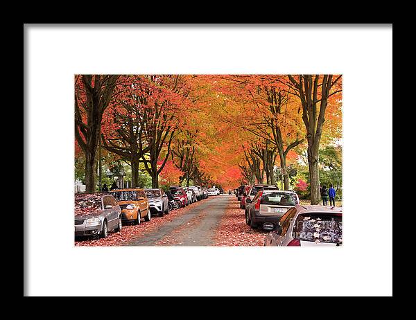 Vancouver Framed Print featuring the photograph Fall in Vancouver 2017 1 by Maria Janicki