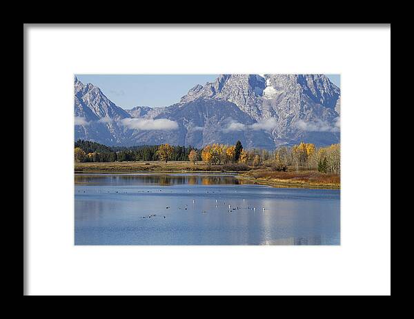 Tetons Framed Print featuring the photograph Fall InTeton -3 by Shirley Mitchell