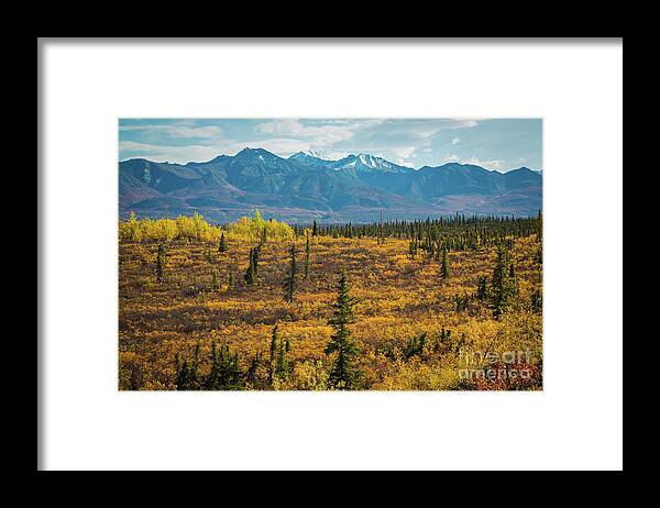 Fall Framed Print featuring the photograph Fall Landscape by Eva Lechner