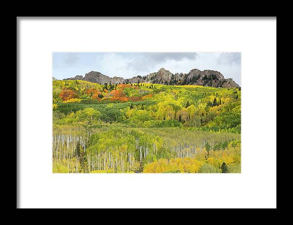 Kebler Pass Framed Print featuring the photograph Fall Magic by Nancy Dunivin