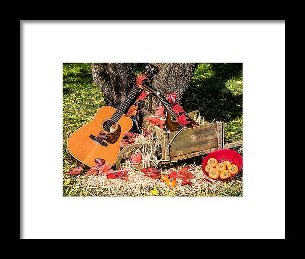 Fall Framed Print featuring the photograph Fall Music and Persimmons by Mick Anderson