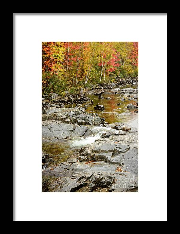 Maine Framed Print featuring the photograph Fall on the Carrabassett River by Alana Ranney