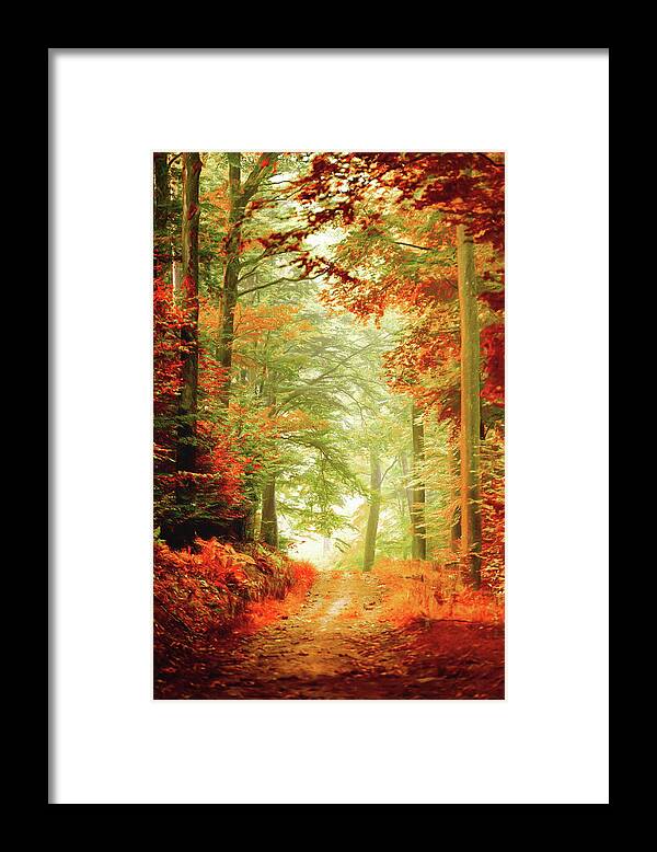 Autumn Framed Print featuring the photograph Fall painting by Philippe Sainte-Laudy