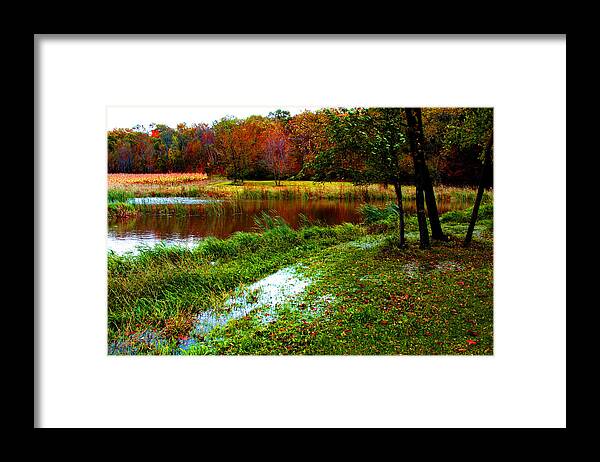 William Meemken Framed Print featuring the photograph Fall Pond by William Meemken