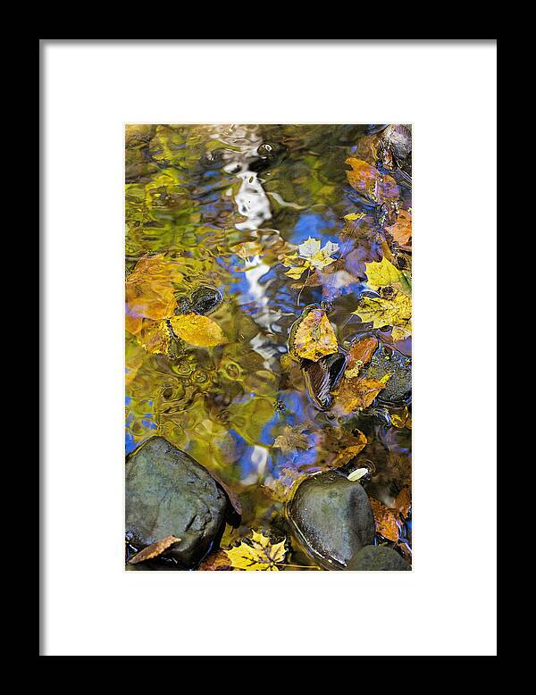 Reflection Framed Print featuring the photograph Fall Reflection by Deborah Penland