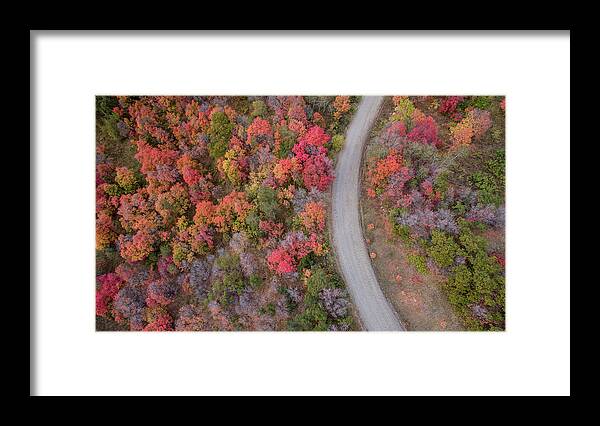 Fall Framed Print featuring the photograph Fall Road by Wesley Aston