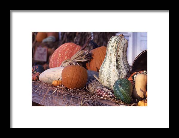  Framed Print featuring the photograph Fall-roadside-produce by Curtis J Neeley Jr