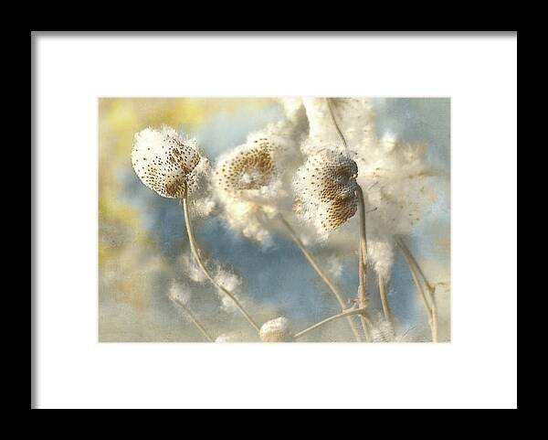 Fall Framed Print featuring the photograph Fall seeds by Jeff Burgess