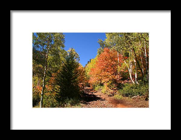 Autumn Framed Print featuring the photograph Fall Splender 67 by Mark Smith