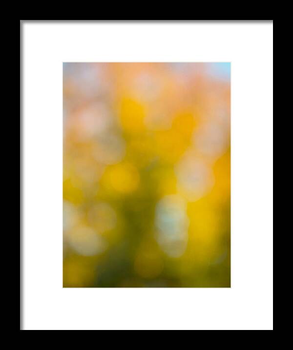 Fall Framed Print featuring the photograph Fall tree blur by Pam Elliott