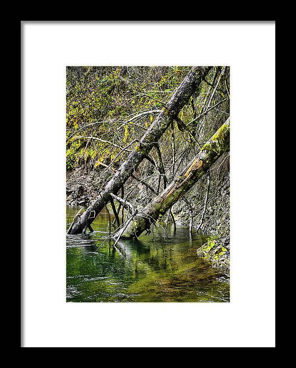Riverscape Framed Print featuring the photograph Fallen Friends by Jason Brooks