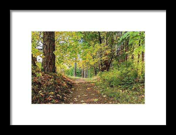 Landscapes Framed Print featuring the photograph Fallen Leaves by Claude Dalley