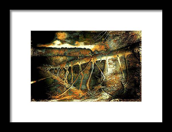 Woods Framed Print featuring the photograph Fallen Tree by Lilia S