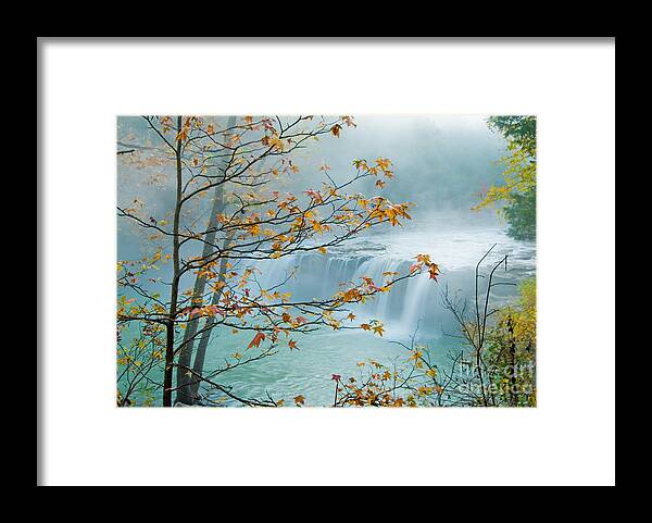 Waterfall Framed Print featuring the photograph Falling Falls by Iris Greenwell