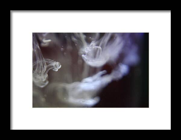 Water Framed Print featuring the photograph Falling by Rachelle Johnston