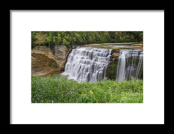 Waterfall Framed Print featuring the photograph Autumn Flower of Letchworth Middle Falls by Karen Jorstad