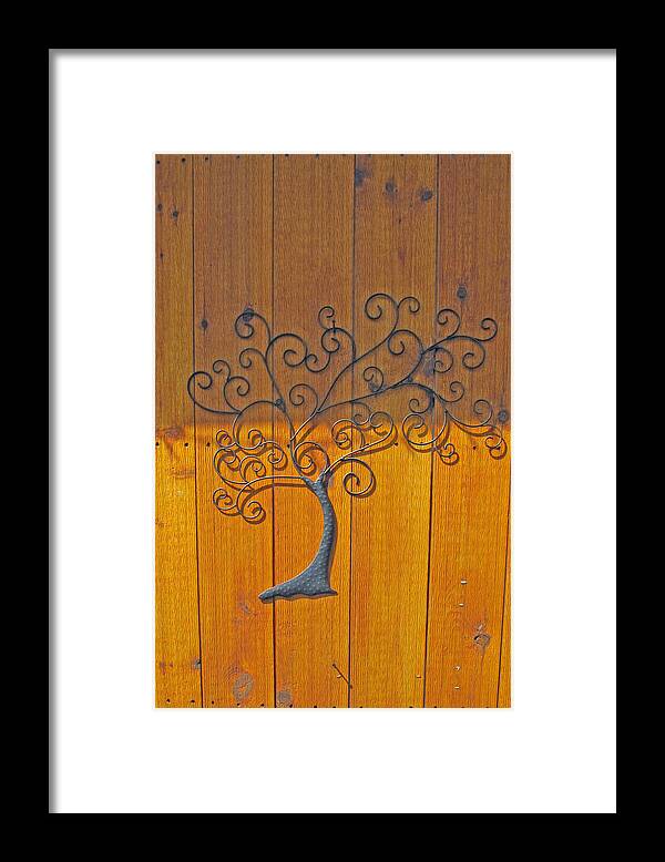 Swirls Framed Print featuring the photograph Family Tree by Barbara McDevitt